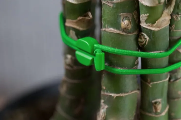 Pixi kabelsnøre, , sort/grøn - 2 stk Gadgets