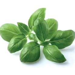 Clearance basilikum - 3 stk Indendørs Køkkenhaver|Click & Grow