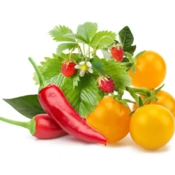 Sale frugt- og grøntsagsmix - 9 stk Indendørs Køkkenhaver|Click & Grow