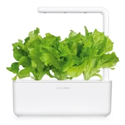 Online grøn salat - 3 stk Indendørs Køkkenhaver|Click & Grow