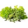 Outlet krydderimix - 9 stk Indendørs Køkkenhaver|Click & Grow
