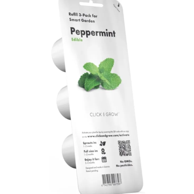 Hot pebermynte - 3 stk Indendørs Køkkenhaver|Click & Grow