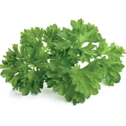 Discount persille - 3 stk Indendørs Køkkenhaver|Click & Grow