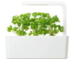 Discount persille - 3 stk Indendørs Køkkenhaver|Click & Grow
