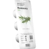 New rosmarin - 3 stk Indendørs Køkkenhaver|Click & Grow
