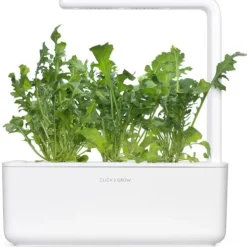 Outlet rucola - 3 stk Indendørs Køkkenhaver|Click & Grow