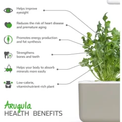 Outlet rucola - 3 stk Indendørs Køkkenhaver|Click & Grow
