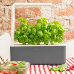 Clearance Smart Garden startsæt, Indendørs Køkkenhaver|Click & Grow