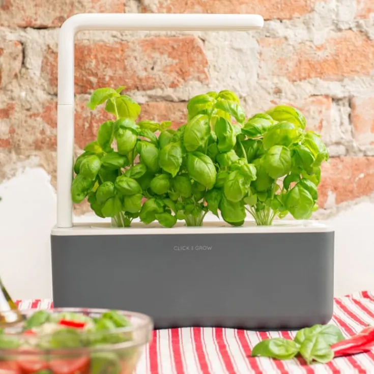 Clearance Smart Garden startsæt, Indendørs Køkkenhaver|Click & Grow