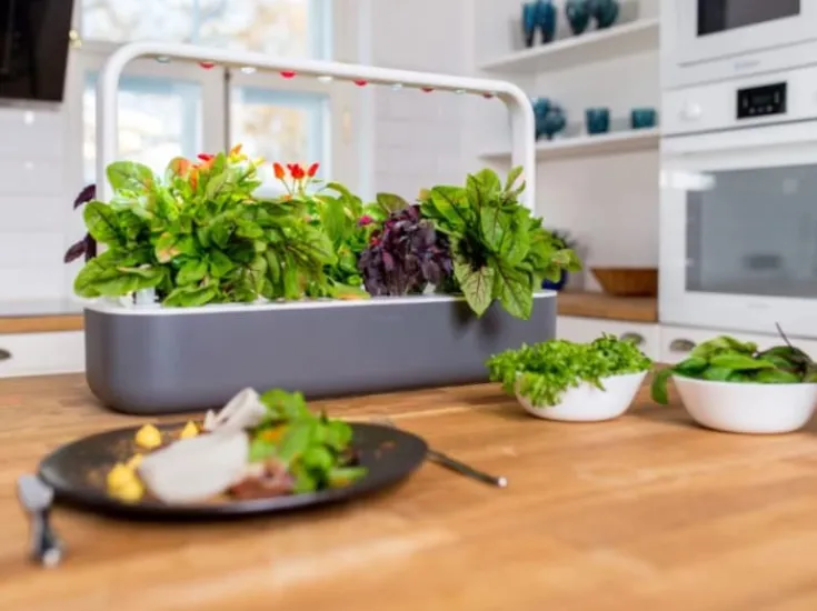 Smart Garden startsæt, Indendørs Køkkenhaver|Click & Grow