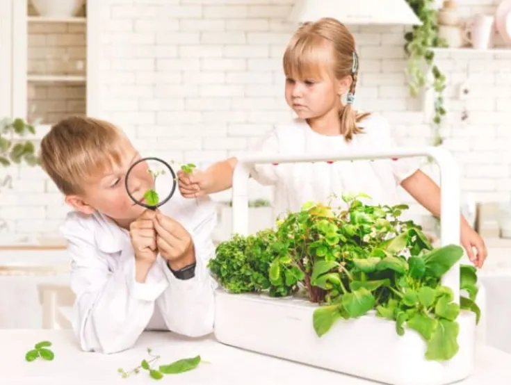 Smart Garden startsæt, Indendørs Køkkenhaver|Click & Grow