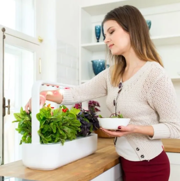 Smart Garden startsæt, Indendørs Køkkenhaver|Click & Grow