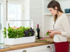 Smart Garden startsæt, Indendørs Køkkenhaver|Click & Grow