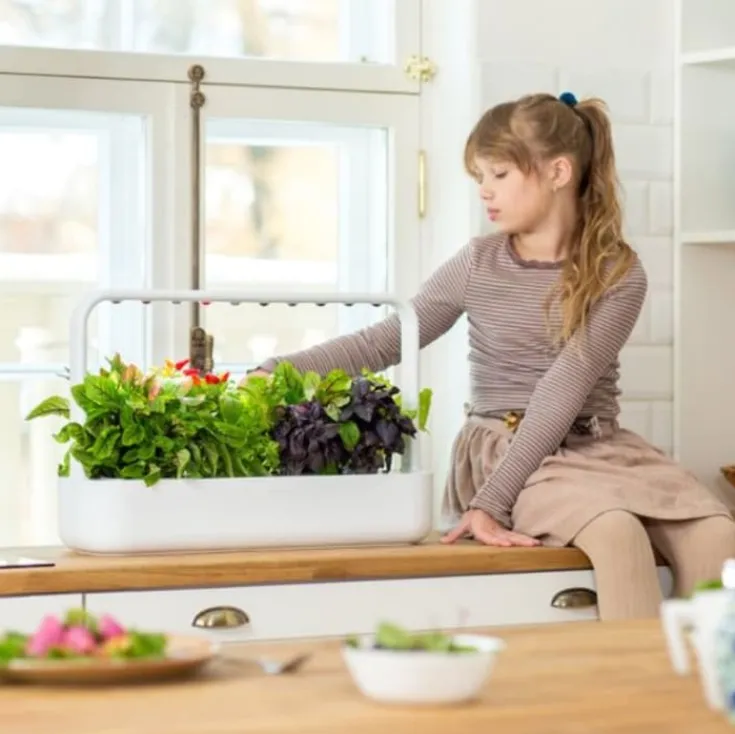 Smart Garden startsæt, Indendørs Køkkenhaver|Click & Grow