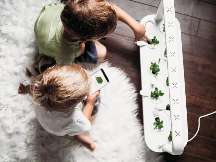 Smart Garden startsæt, Indendørs Køkkenhaver|Click & Grow