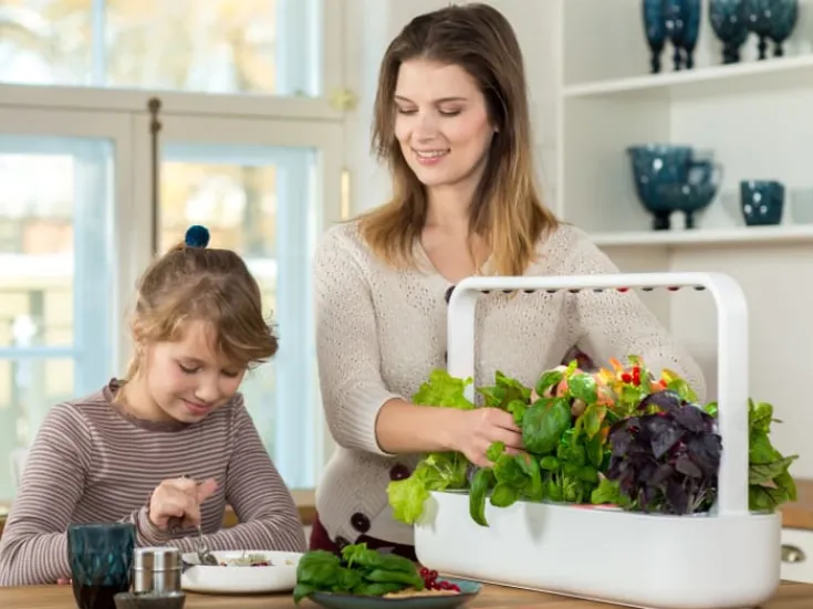Smart Garden startsæt, Indendørs Køkkenhaver|Click & Grow