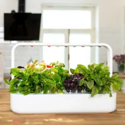 Smart Garden startsæt, Indendørs Køkkenhaver|Click & Grow