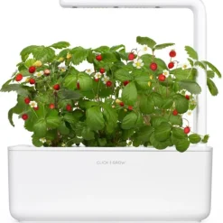 Hot vilde jordbær - 3 stk Indendørs Køkkenhaver|Click & Grow