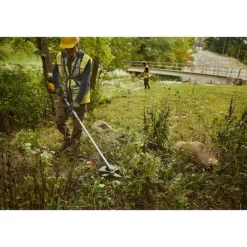 18V/54V XR DCMBC812N-XJ buskrydder, 42 cm, uden batteri Havemaskiner