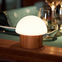 Best Brother bordlampe Udendørs Bordlamper