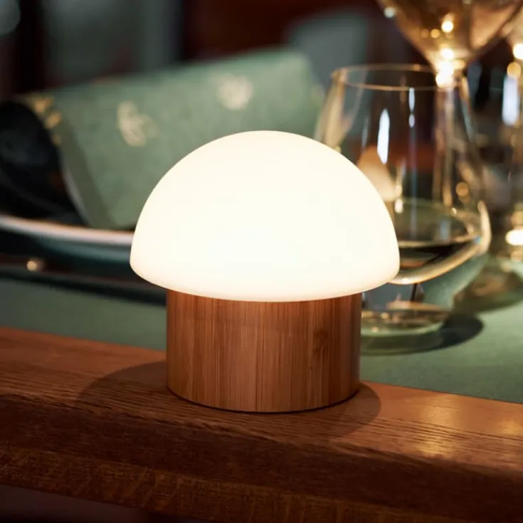 Best Brother bordlampe Udendørs Bordlamper