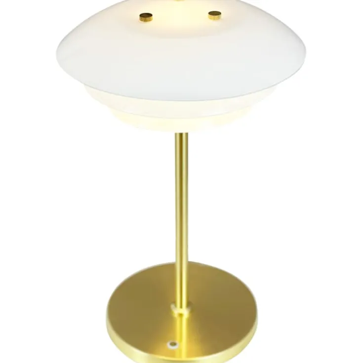 Hot DL20 genopladelig bordlampe Genopladelige Lamper|Bordlamper