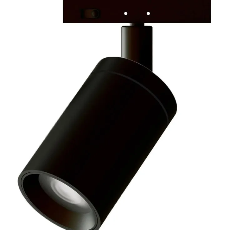 New Click skinnespot, sort Skinnespots