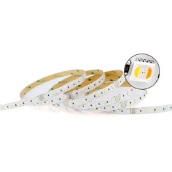 Best LightMore LED strip, farveskift + 2400K-6500K, 10 meter Led Strips