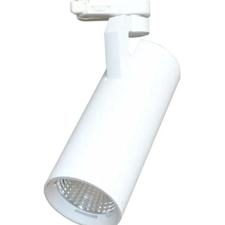 Gemini 3F skinnespot, Skinnespots