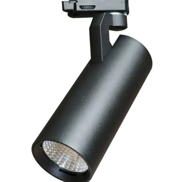 Gemini 3F skinnespot, Skinnespots
