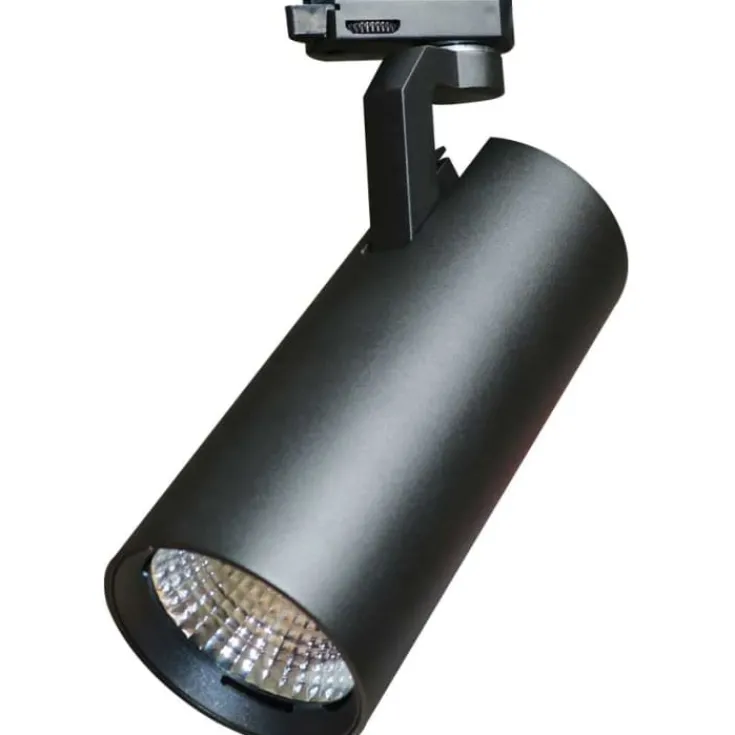 Hot Leo 3F skinnespot, Skinnespots