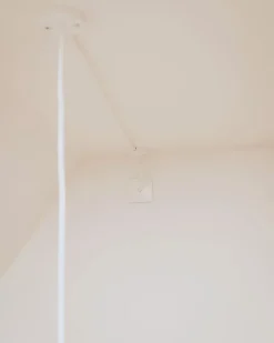 lampeophæng Lampeophæng