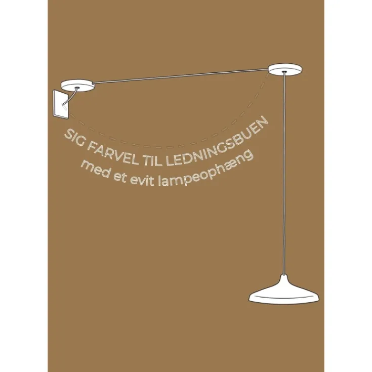 lampeophæng Lampeophæng