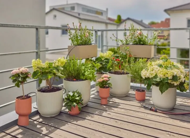 Hot micro-drip til 15 planter Vandingssystemer
