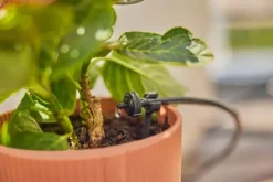 Hot micro-drip til 15 planter Vandingssystemer