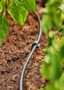 Outlet micro-drip fordelingsrør 4,6mm, 15 m Vandingssystemer