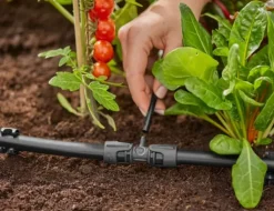 Sale micro-drip reduktion T-stykke 13 mm - 4,6 mm Vandingssystemer