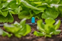 Hot micro-drip rækkedyse til vanding af små områder Vandingssystemer