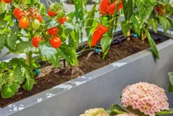 Online micro-drip terrassesæt til 30 planter Vandingssystemer