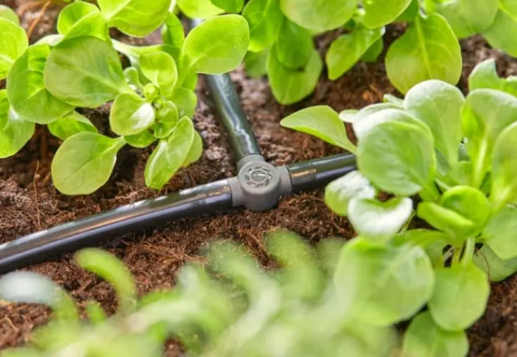 micro-drip T-stykke 4,6mm Vandingssystemer