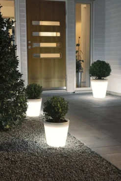 New Assisi potteplanet m. LED lys, Havelamper