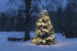 Clearance Cluster udendørs lyskæde, 1536 varm hvide lys, 11,3 meter Udendørs Julelys