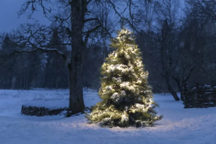 Clearance Cluster udendørs lyskæde, 1536 varm hvide lys, 11,3 meter Udendørs Julelys