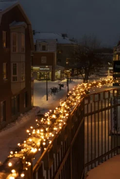 Online Cluster udendørs lyskæde, 800 ravfarvede lys, 17,58 meter Udendørs Julelys