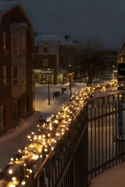 Outlet Cluster udendørs lyskæde, 800 varm hvide lys, 17,58 meter Udendørs Julelys