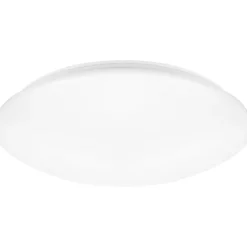 Hot Surface Circular PS plafond, Ø50 cm, Ledvance