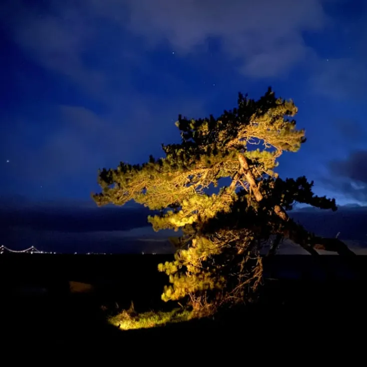 Sale Juuliane udendørs spot, 3W Udendørs Spots
