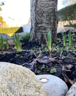 Clearance pigsten med Cosmos spot Udendørs Spots