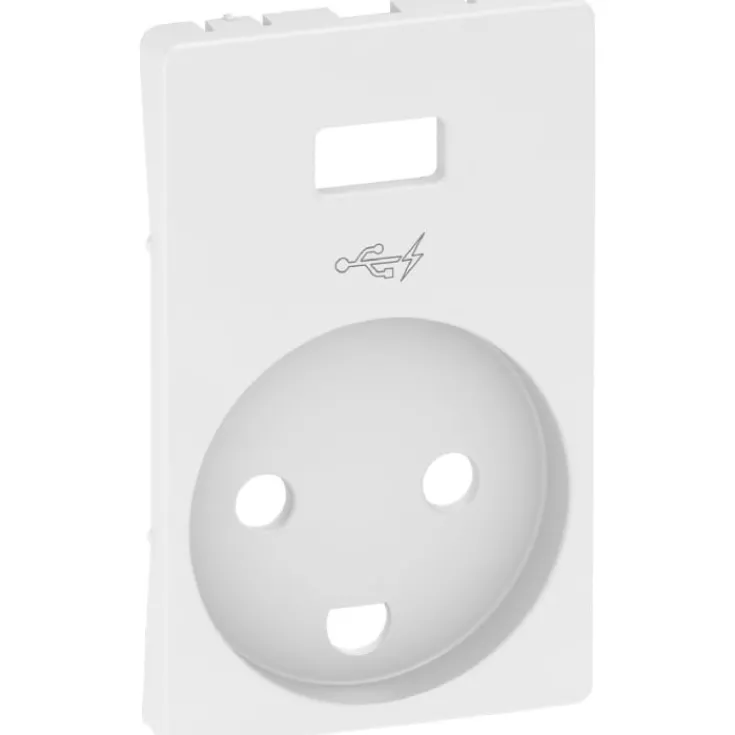 Best LK Fuga afdækning for stikkontakt med USB med jord, Fuga Tangenter|Tangenter & Afdækninger