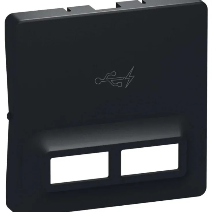 LK Fuga afdækning for 2 x USB-lader, 1 modul, Fuga Tangenter|Tangenter & Afdækninger